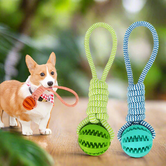 Durable Rubber Ball Chew Toy with Cotton Rope