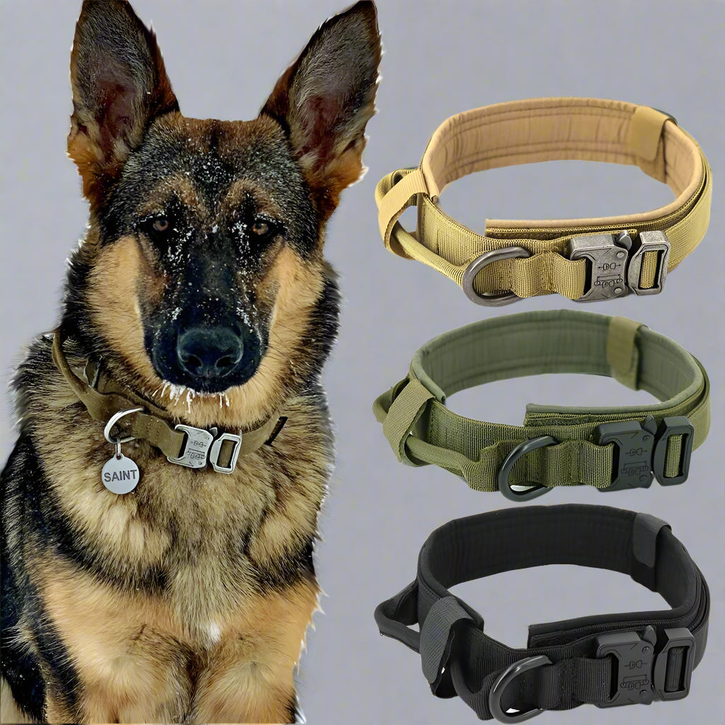 Fast Shipping Durable Military Tactical Dog Collar