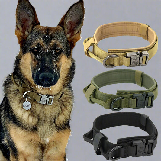 Fast Shipping Durable Military Tactical Dog Collar
